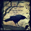 curiouscrowgothiCandcrowsartphotography1.jpg